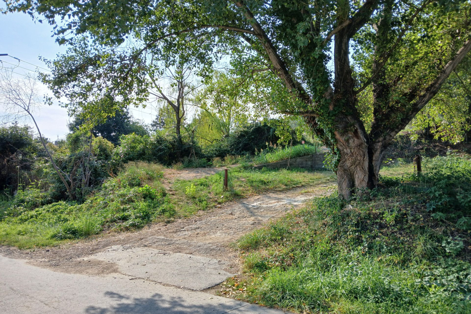 Terrain Agricole - Reynes - 25 000 €Verger à Céret en deux terrasses avec canal d'arrosage, accès voiture en bordure. A 2 km du centre-ville de Céret. Calme, belles vues nature environnantes.Coordonnées de l'agence
Agence Immotech Céret Boulou
Tél. 04 68 87 18 08