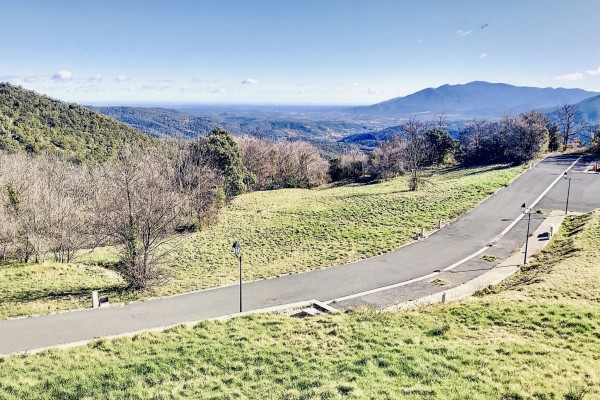 Main image Main Image