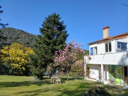 Détail